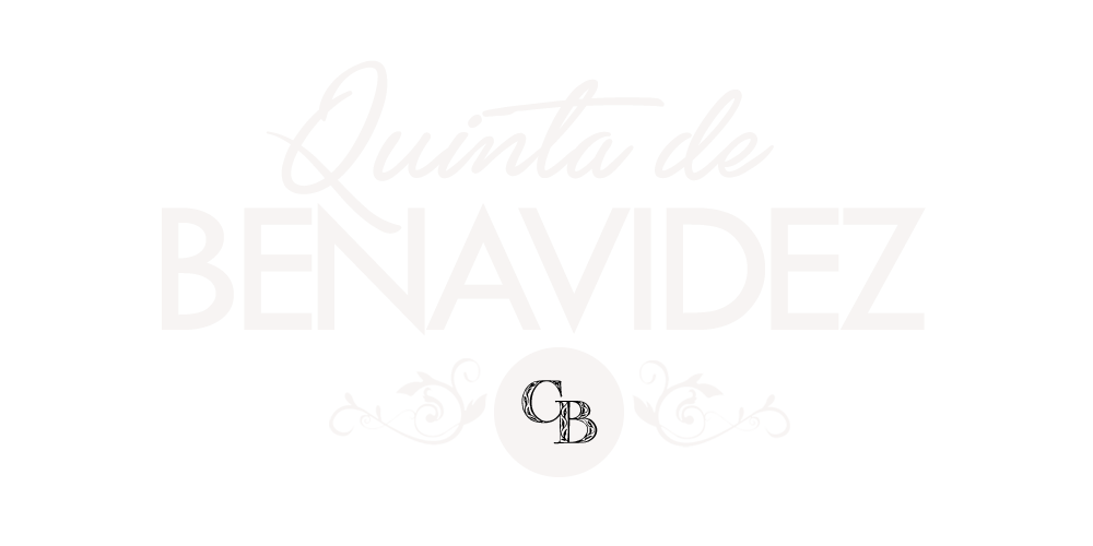 LOGO QUINTA DE BEANAVIDEZ WEB